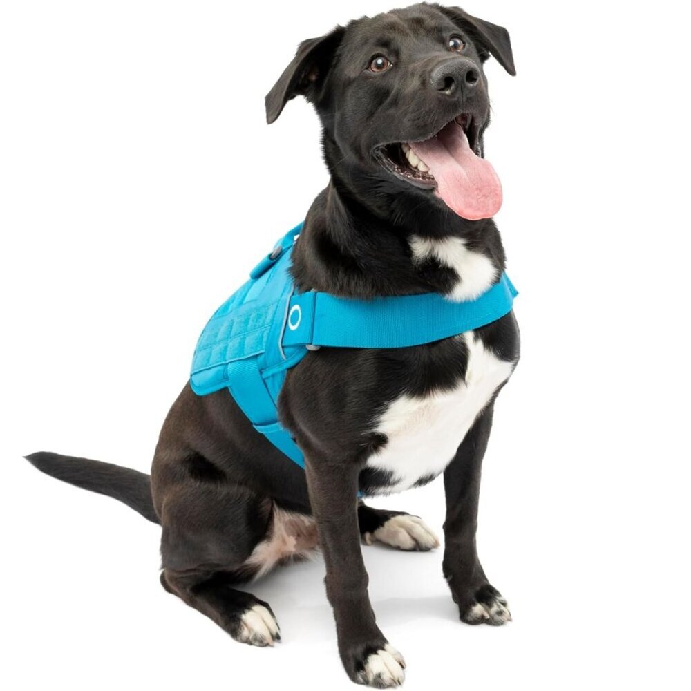 NEW‎ Kurgo RSG Dog Townie Harness, Blue - Size XL
